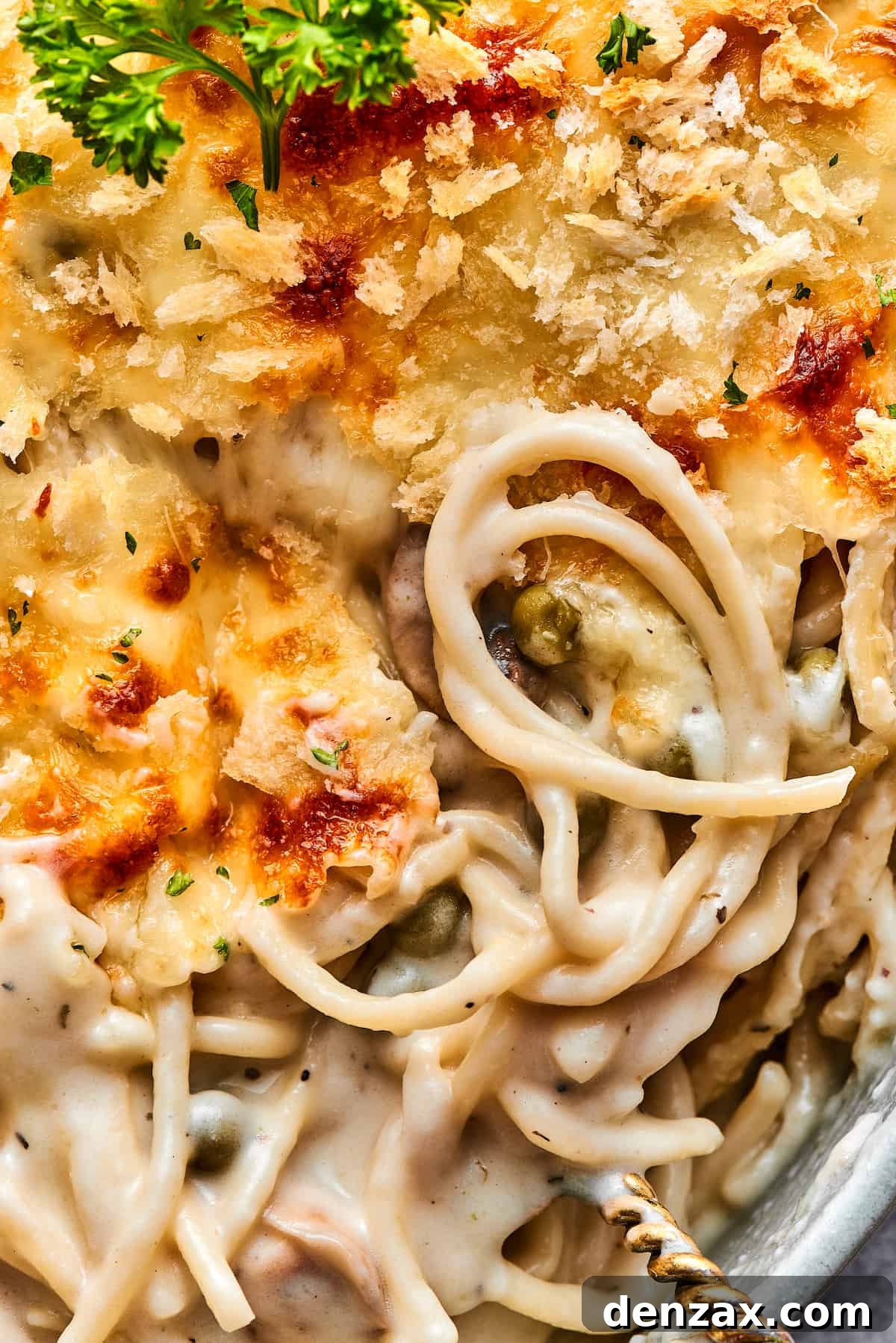 Close-up shot of a serving of chicken tetrazzini, showing the creamy pasta, melted cheese, and tender chicken pieces.