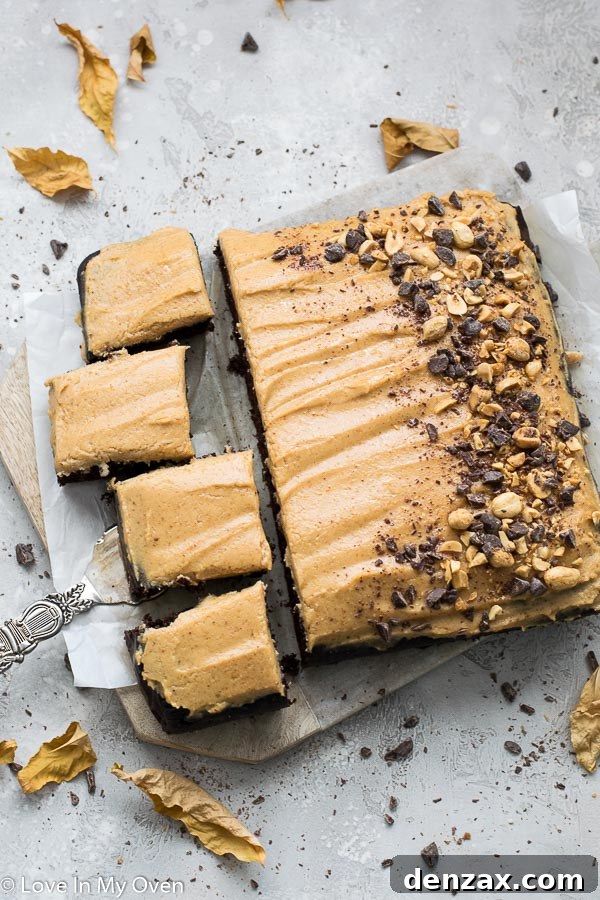 Slice of Healthier Chocolate Peanut Butter Sheet Cake on a plate, showing layers