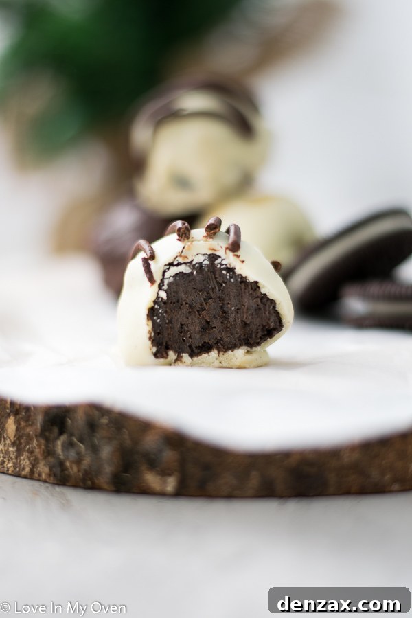 Close-up view of a beautifully decorated 3-ingredient Oreo truffle