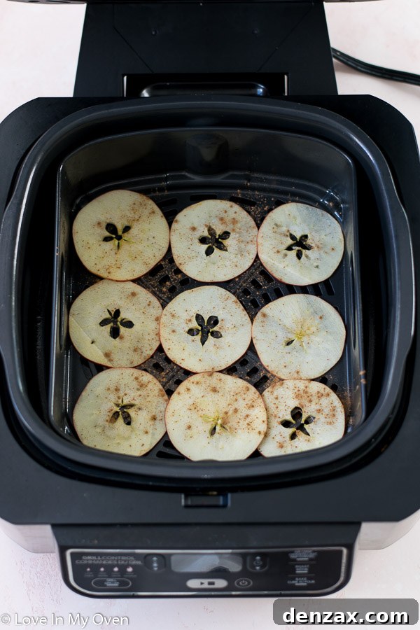 Air fryer basket filled with a single layer of cinnamon-dusted apple slices