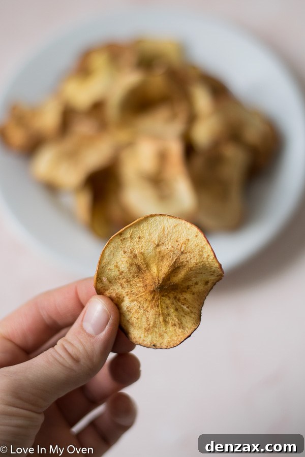 Crispy cinnamon air fryer apple chips in a white bowl, ready to be served