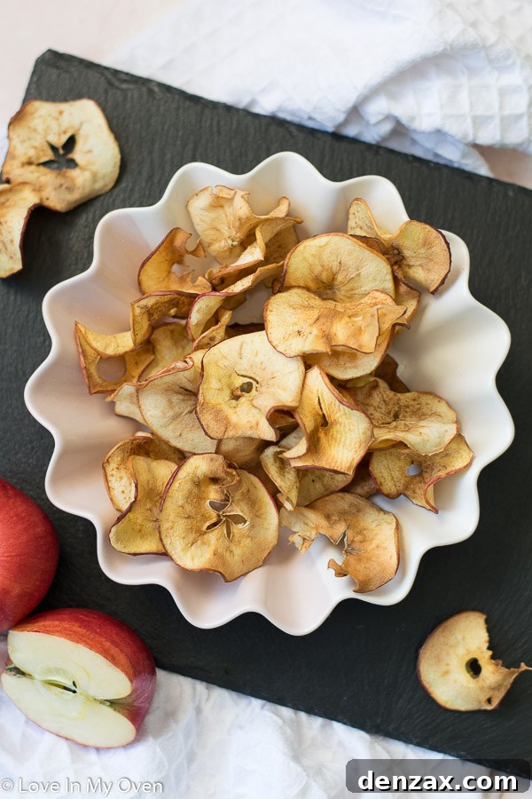 A stack of golden-brown air fryer apple chips, visibly crisp and dusted with cinnamon