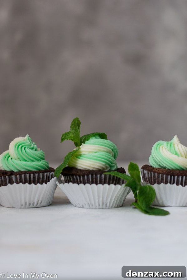 Close-up of a frosted Mint Chocolate Cupcake with delicate green swirl