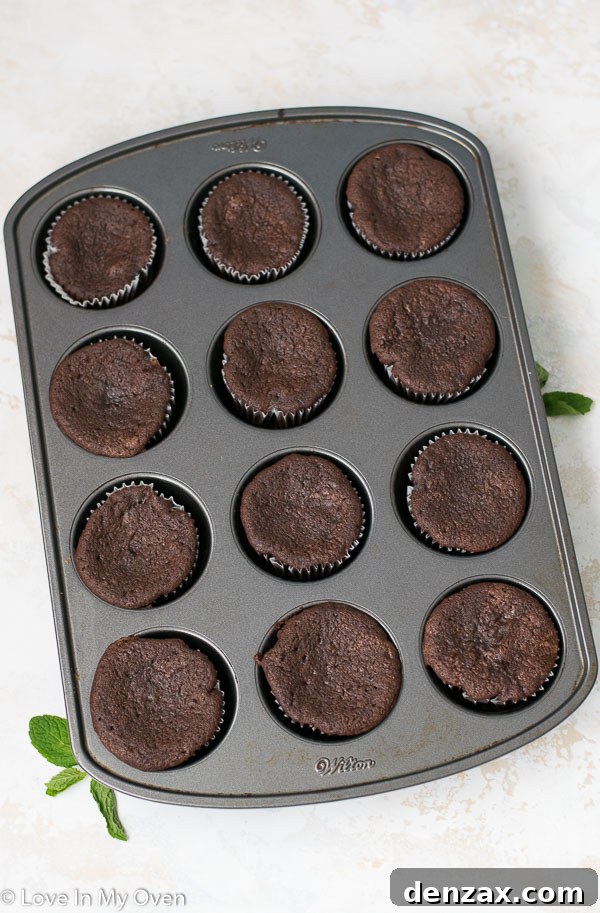 Freshly baked mint chocolate cupcakes cooling on a wire rack