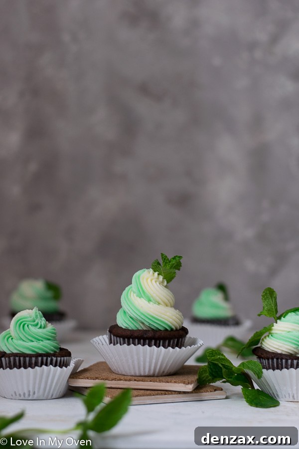 A duo of Mint Chocolate Cupcakes, one with a full green swirl, the other with a two-toned frosting