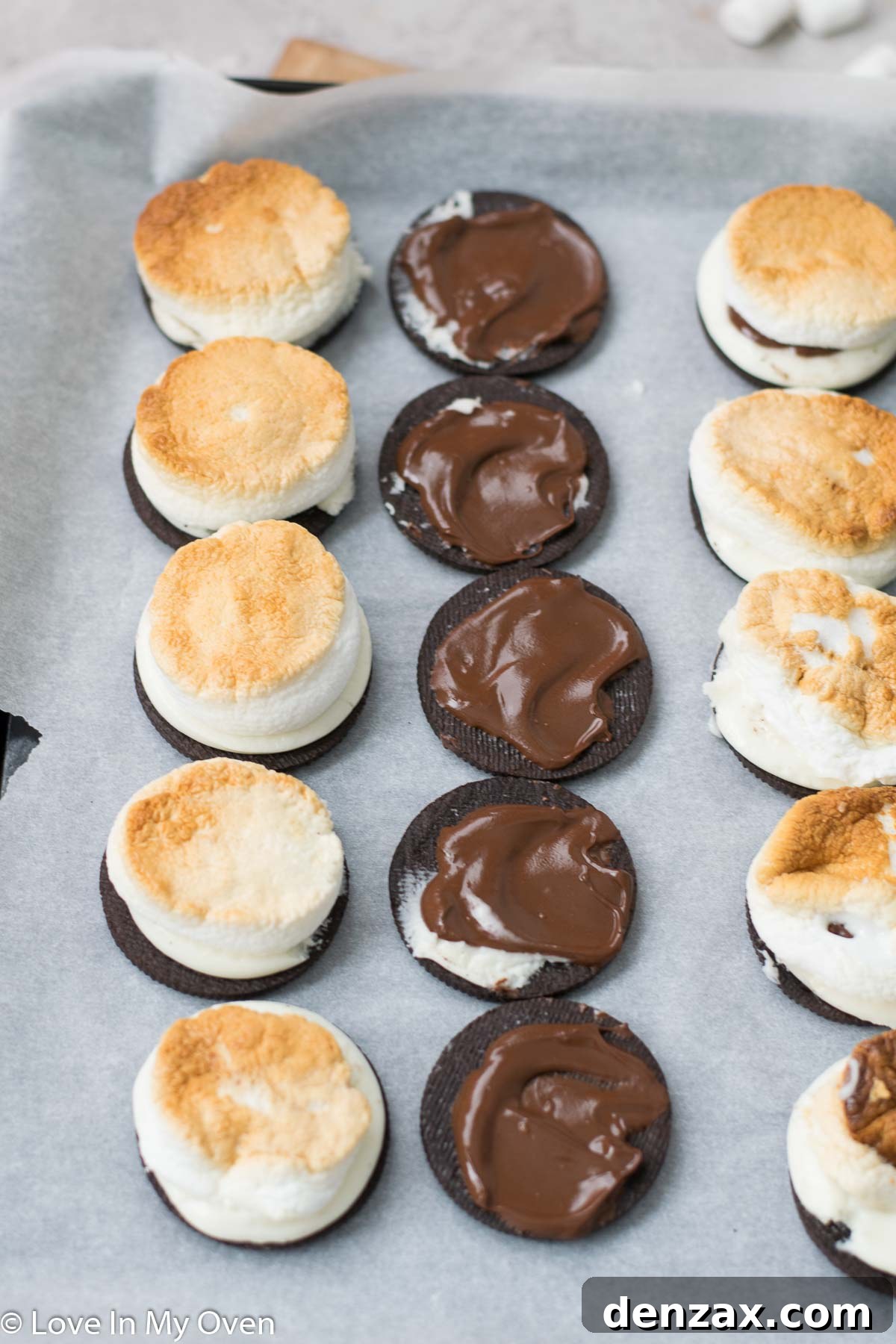 Mallow Cookie Meltdown 5 s'moreos - close-up of melted chocolate and marshmallow