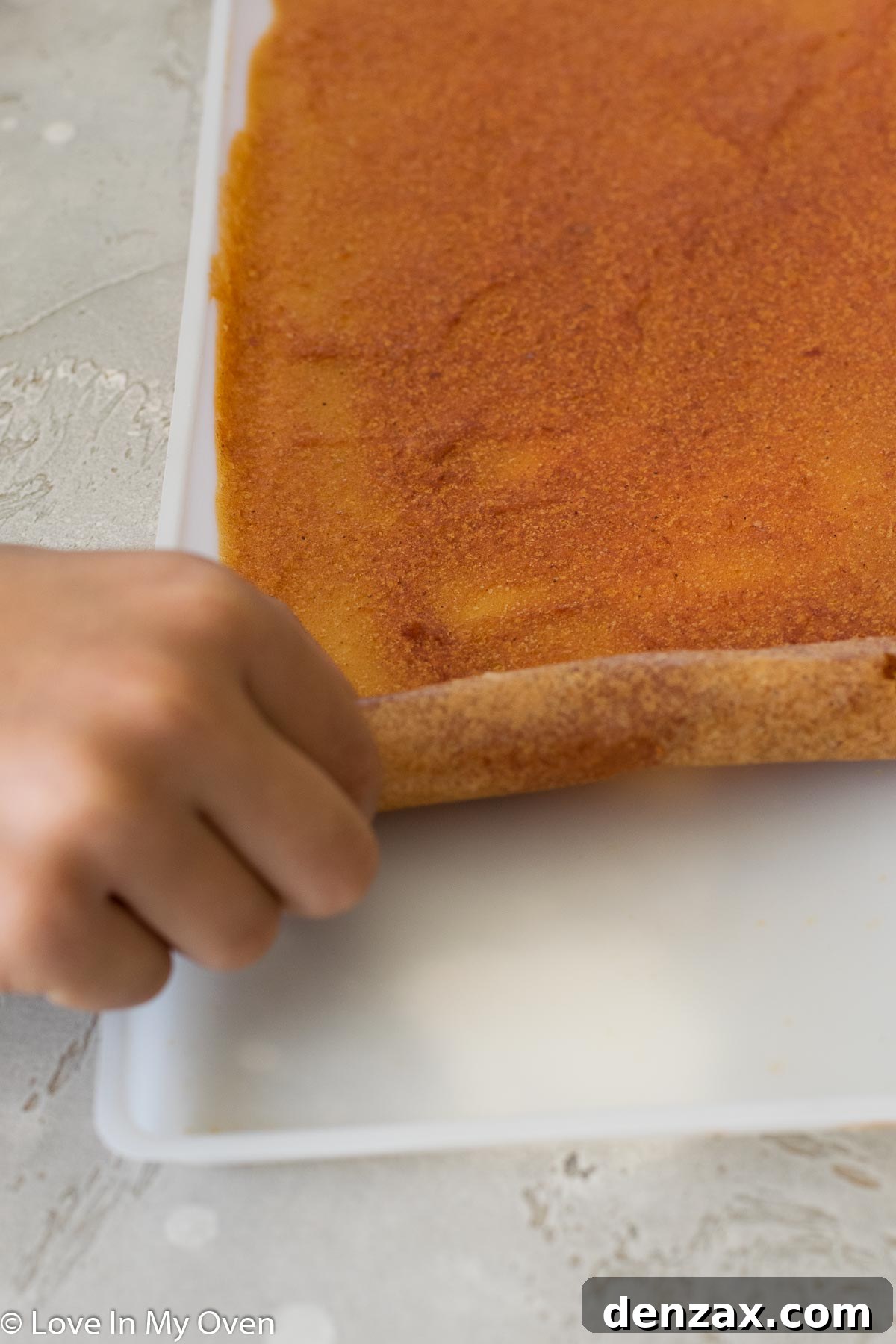 Homemade apple fruit leather rolls neatly wrapped in plastic, ready for storage