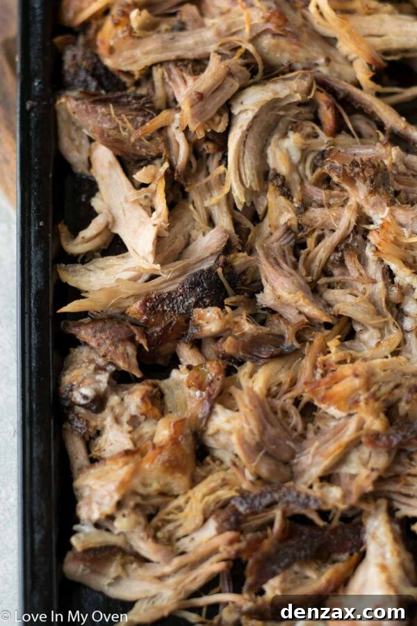 Close-up of apple cider pulled pork being scooped from a pan.