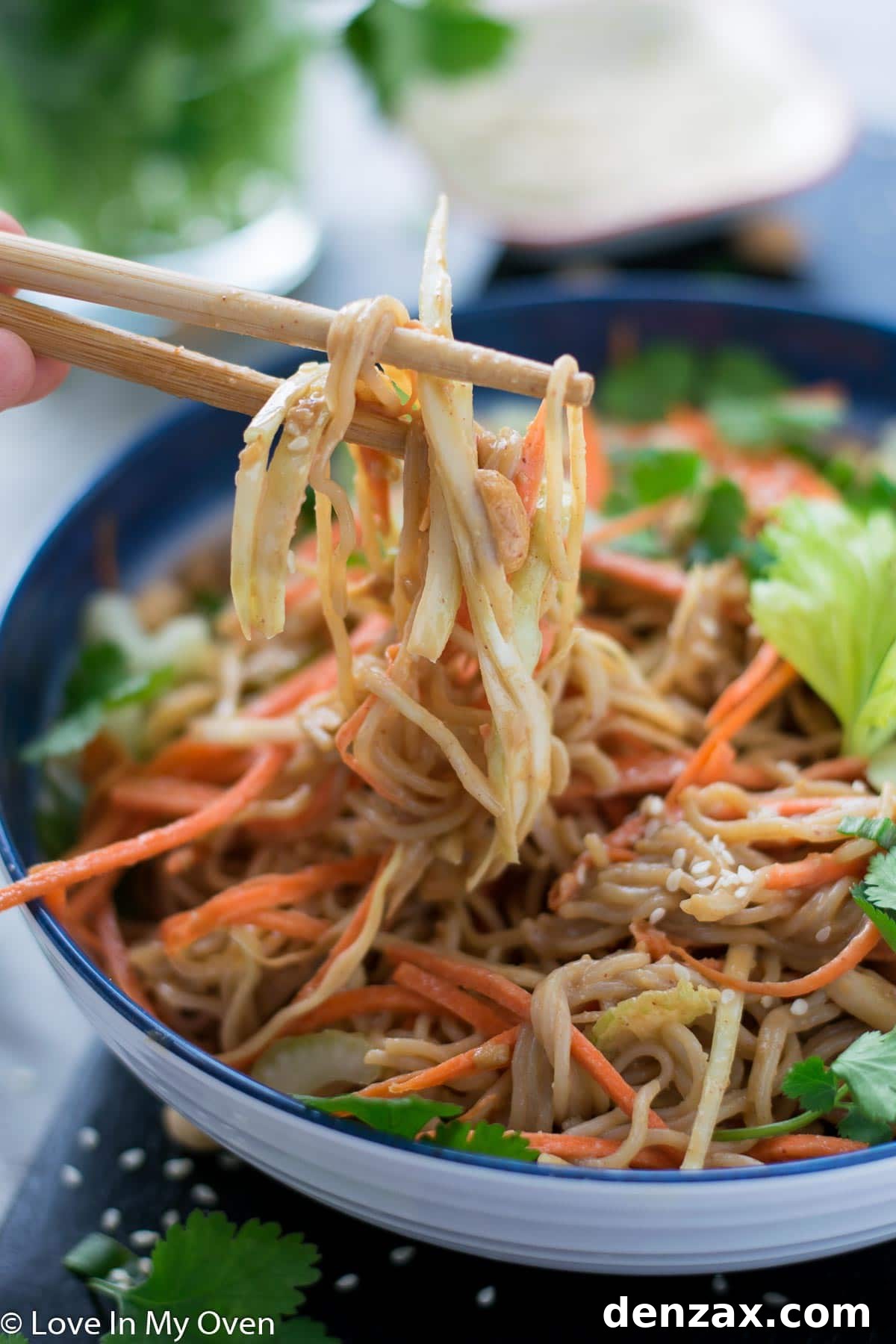 Close-up of fresh ingredients in Sesame Peanut Noodle Salad