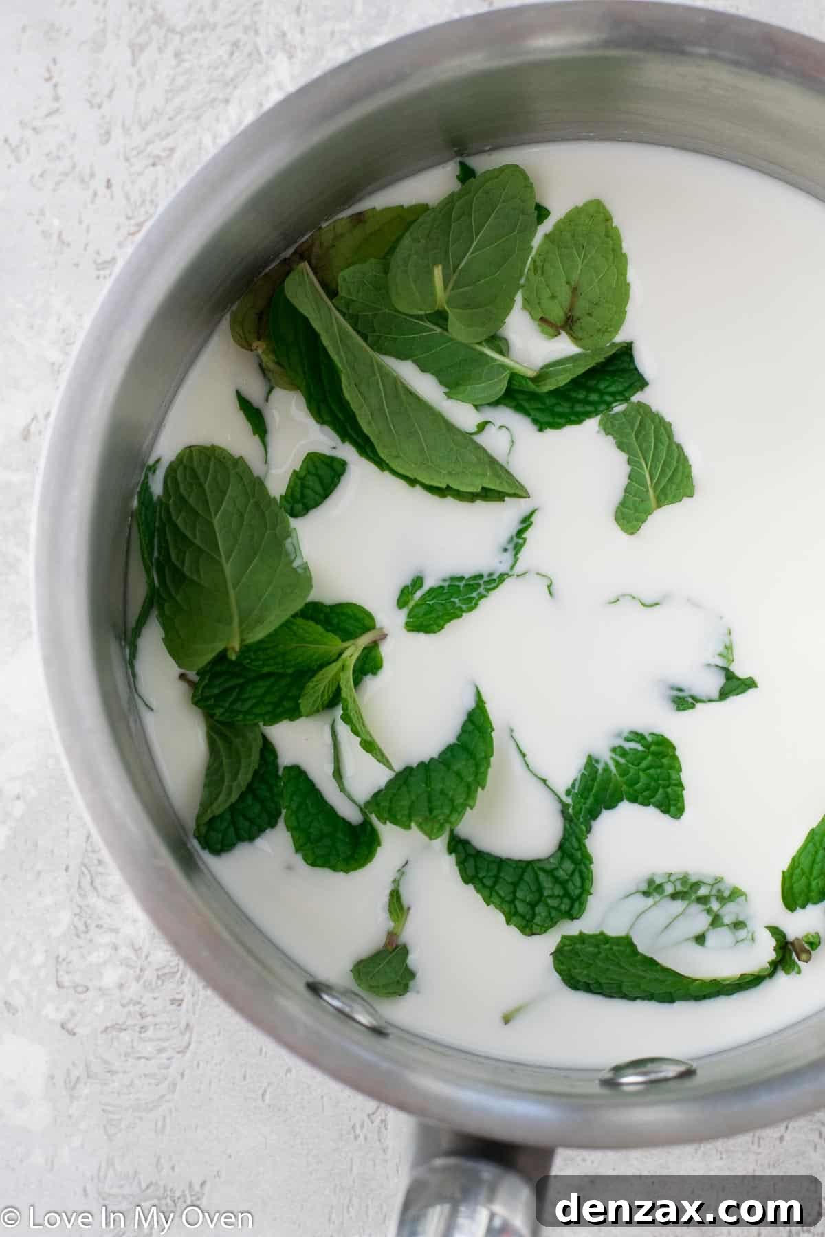 Fresh mint leaves steeping in milk and cream in a saucepan on the stove.