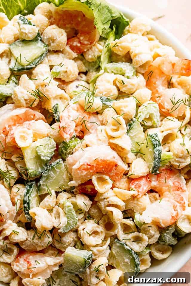 Close up top shot of Creamy Shrimp Pasta Salad studded with sliced cucumbers and plump shrimp, perfect for a summer gathering
