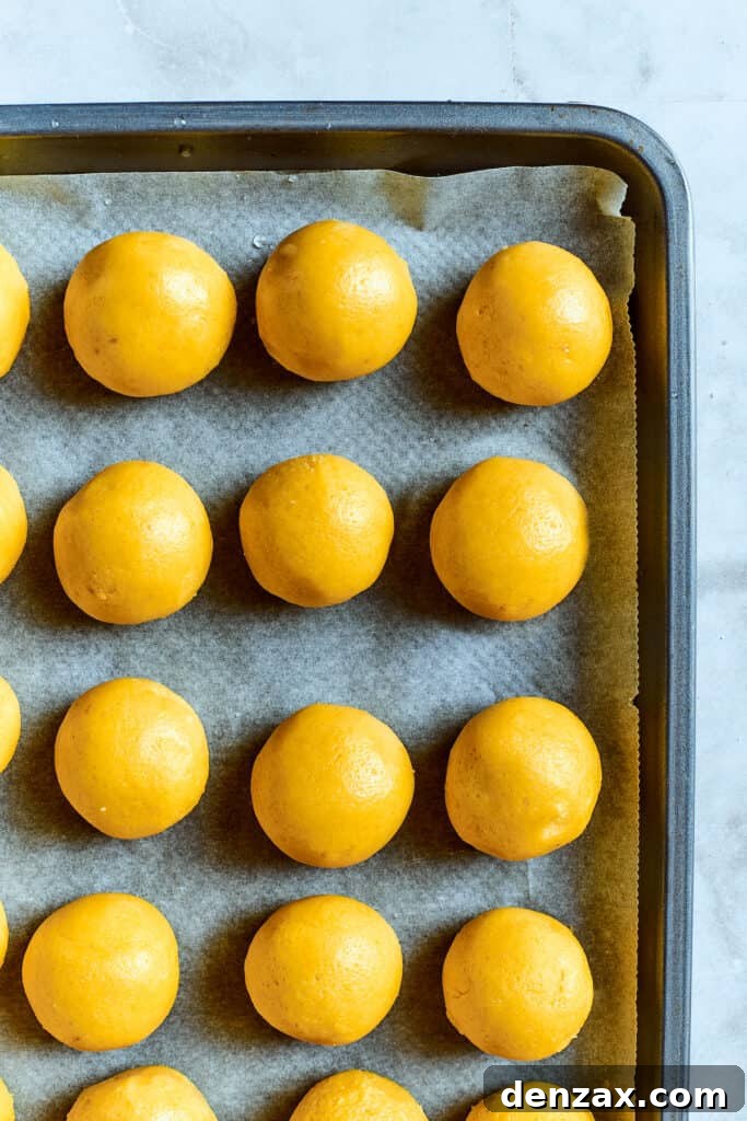 Overhead view of lemon cookie dough balls precisely arranged on a baking sheet before being coated, showing their consistent shape.