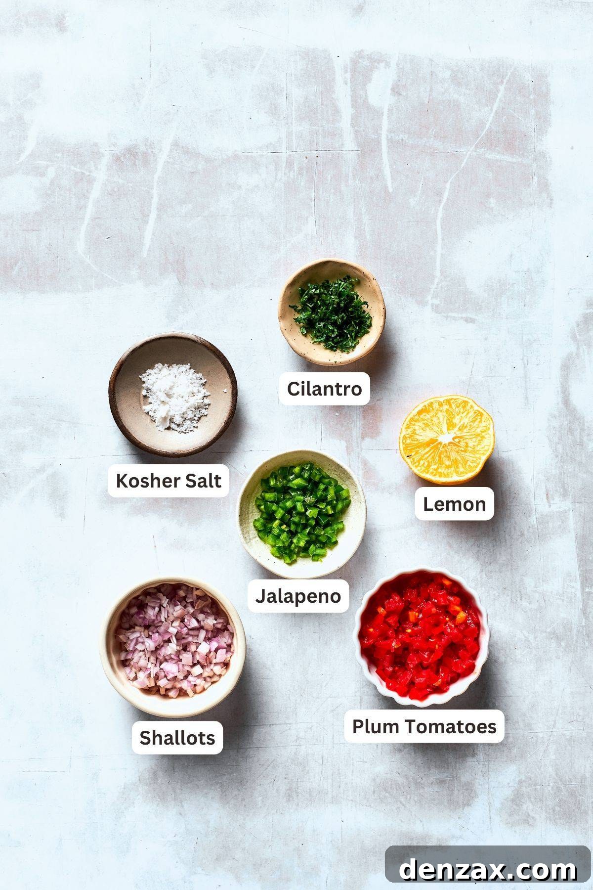 Ingredients for pico de gallo are shown portioned out: chopped tomatoes, onion, garlic, lemon, salt.