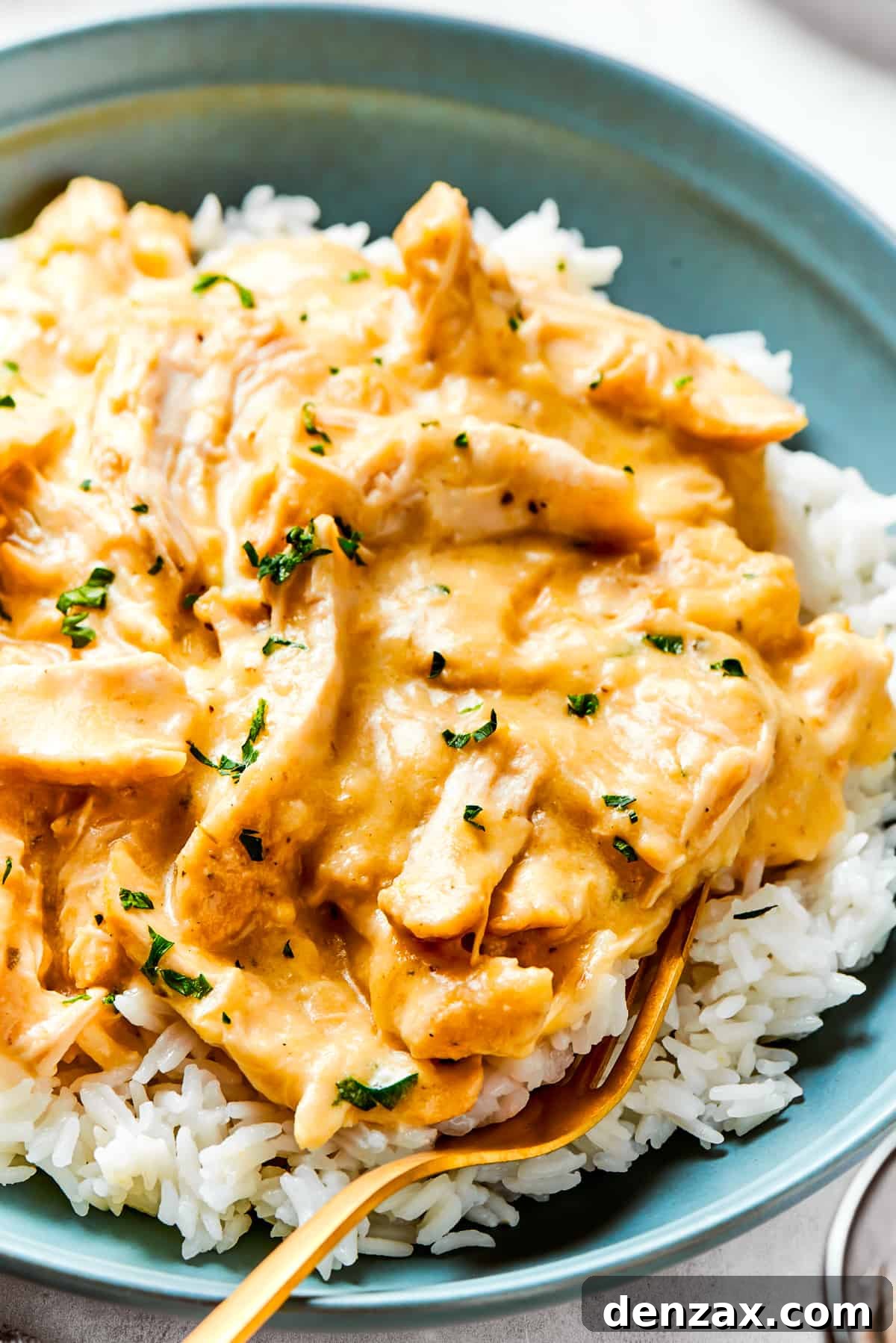 A beautifully plated close-up of creamy chicken and gravy served over a bed of fluffy rice on a pristine dinner plate, ready to be enjoyed.