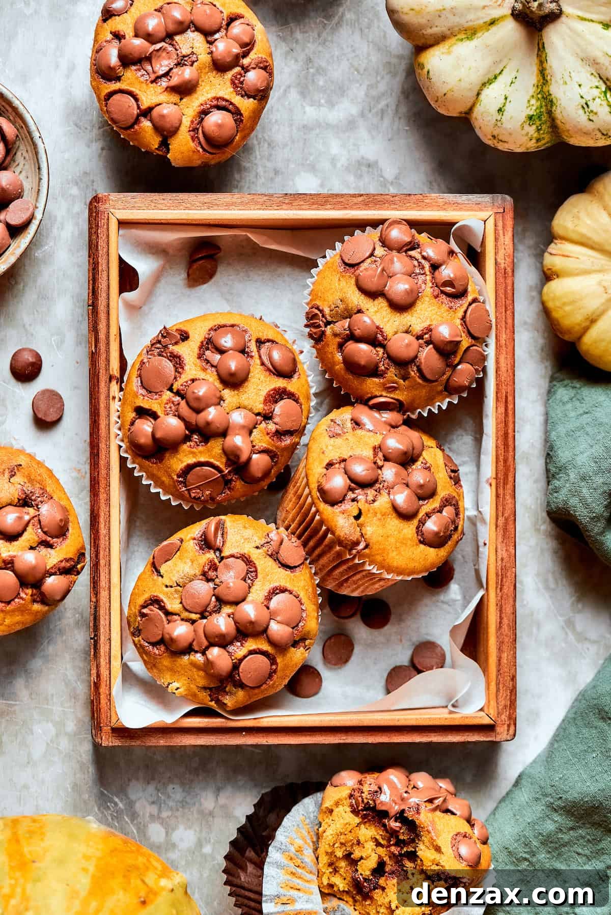 A tray of pumpkin chocolate chip muffins with mini pumpkins next to them, showcasing their golden-brown tops and visible chocolate chips.