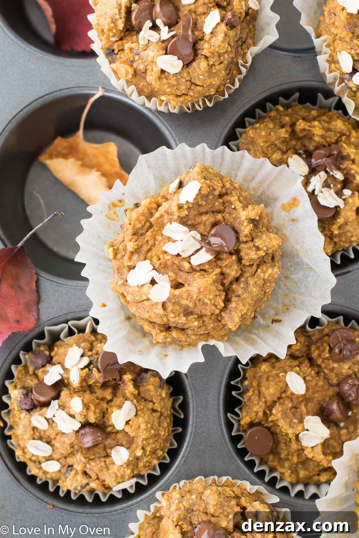 healthy pumpkin blender muffins