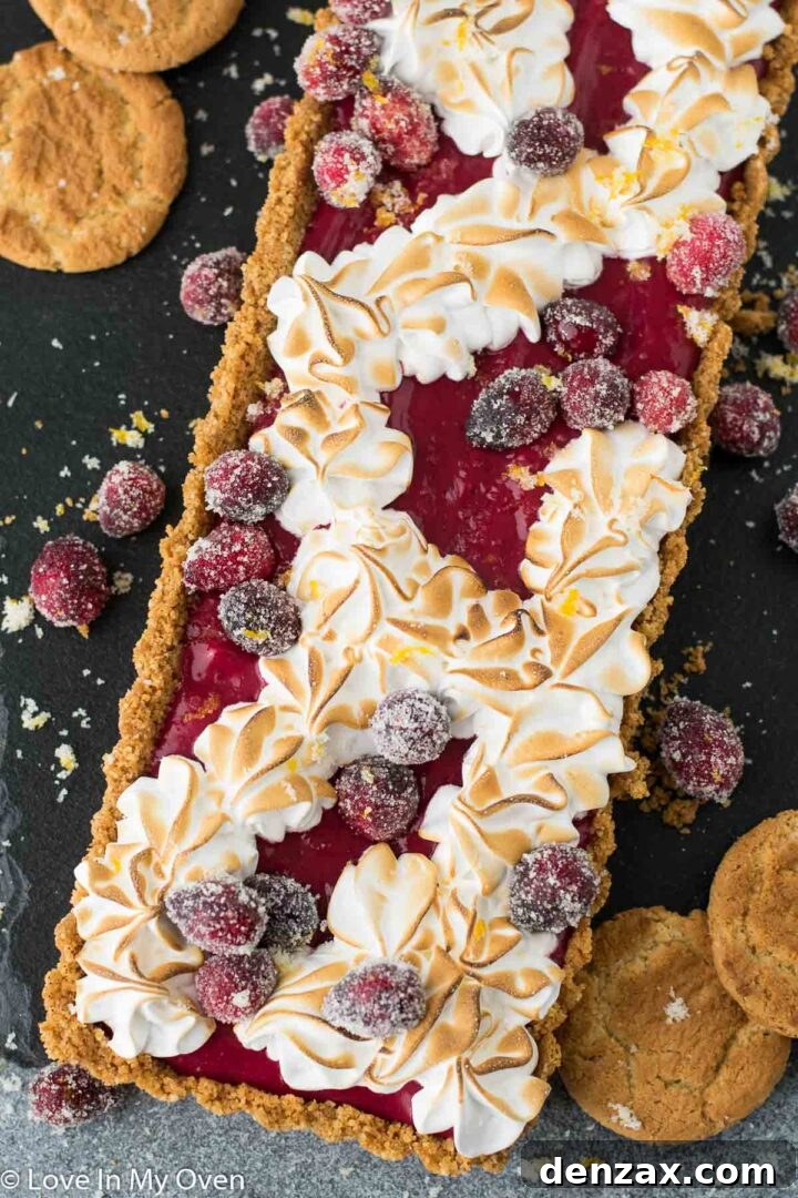 Vibrant Cranberry Curd Tart, a festive holiday dessert with a crisp gingersnap crust and a smooth, tangy filling.