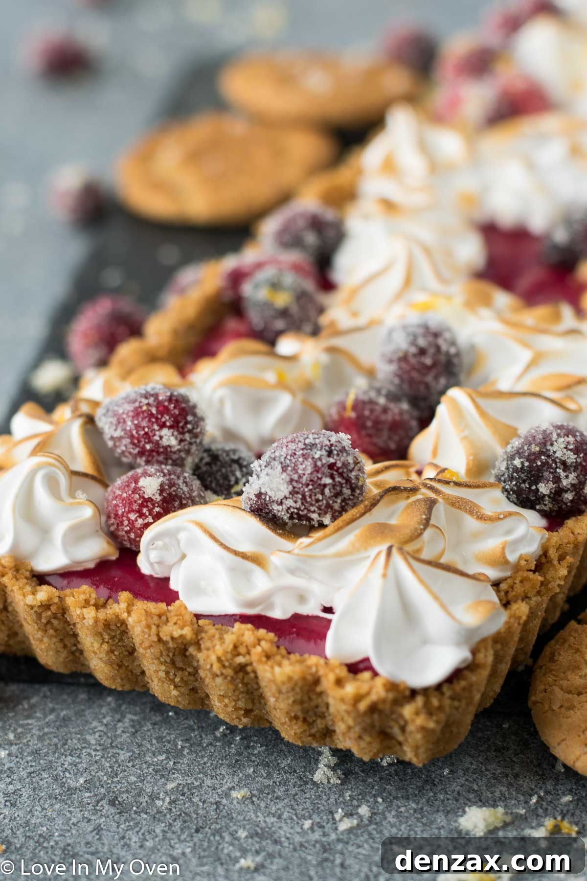 Overhead view of a beautiful Cranberry Curd Tart with toasted meringue swirls, ready for serving.