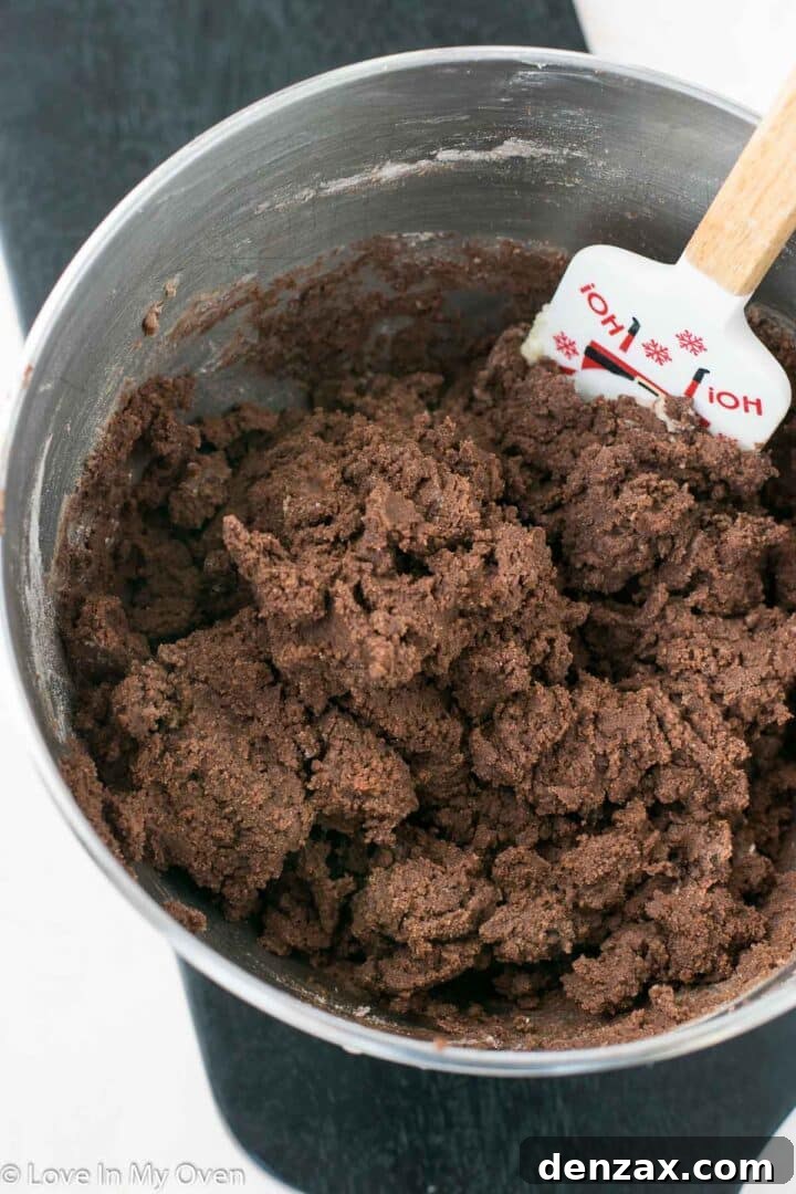 Close-up of chocolate snickerdoodle dough being rolled in cinnamon sugar