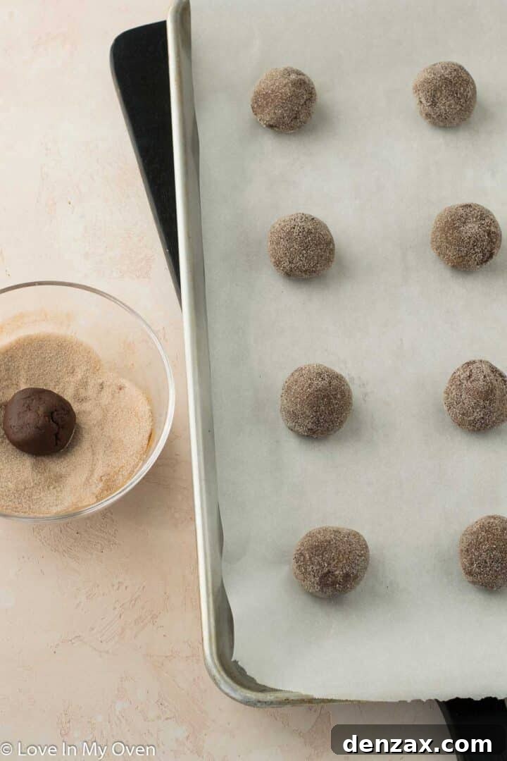 Freshly baked chocolate snickerdoodles cooling on a wire rack