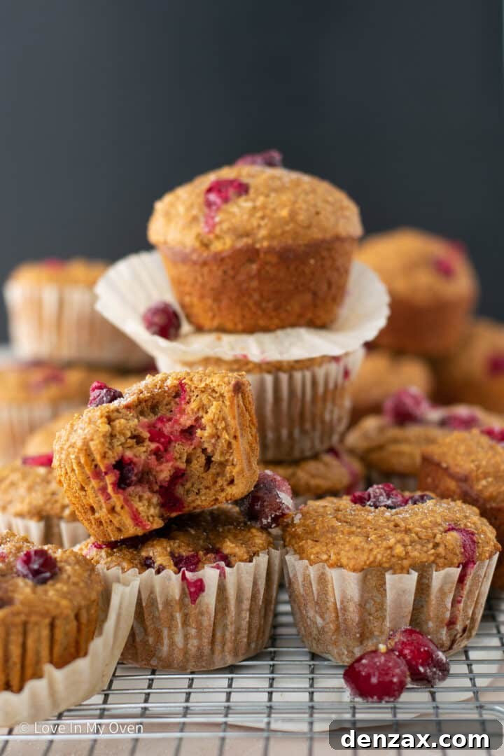 Hearty and flavorful cranberry bran muffins baked to perfection, showcasing their fluffy texture and juicy cranberries, ideal for a wholesome breakfast.