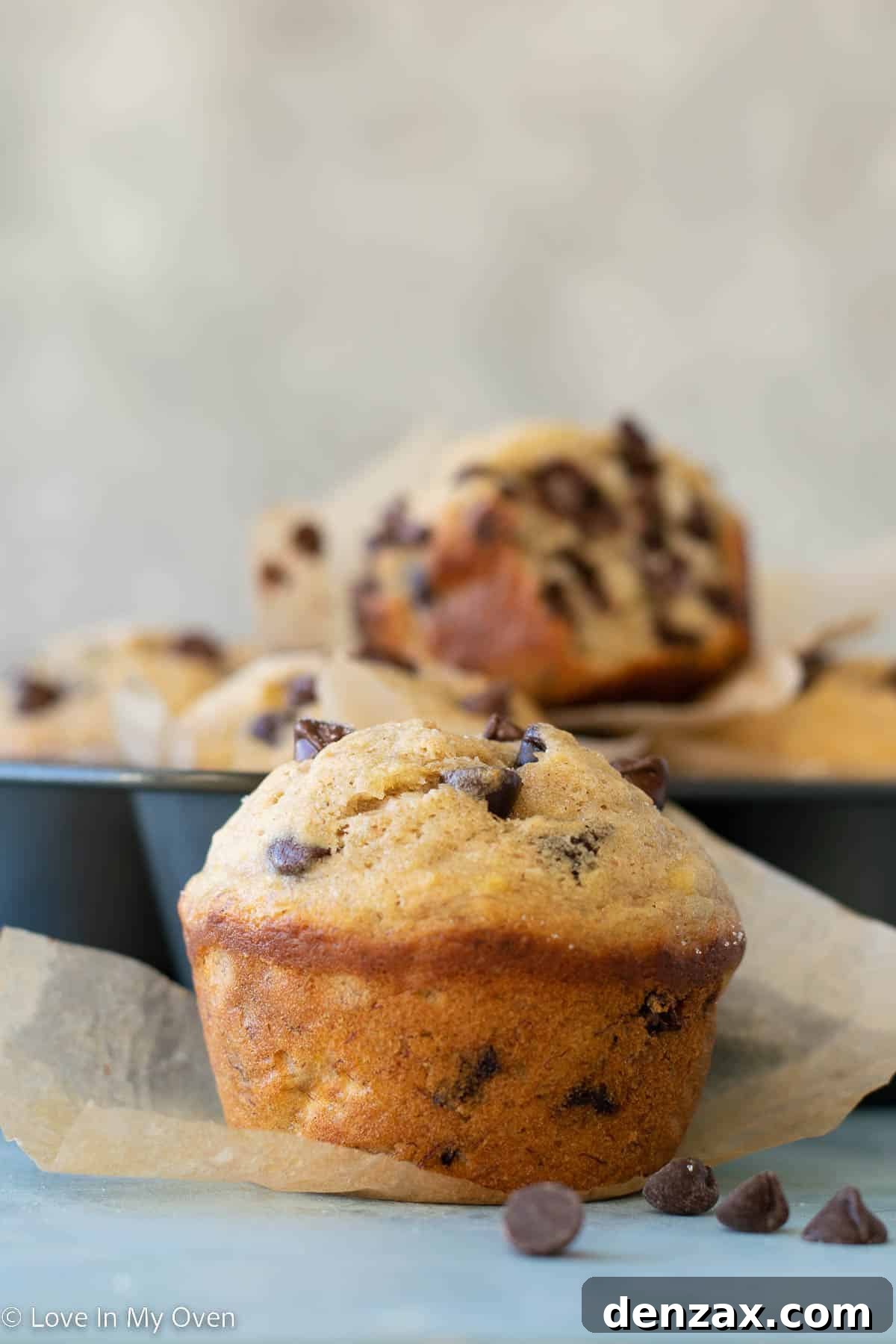 Delicious jumbo bakery style banana chocolate chip muffins fresh from the oven, showcasing their perfect domed tops and melted chocolate chips.