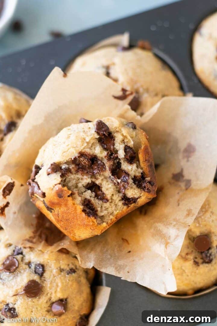 A single jumbo bakery style banana chocolate chip muffin, broken in half to show its moist and fluffy texture with visible chocolate chips.