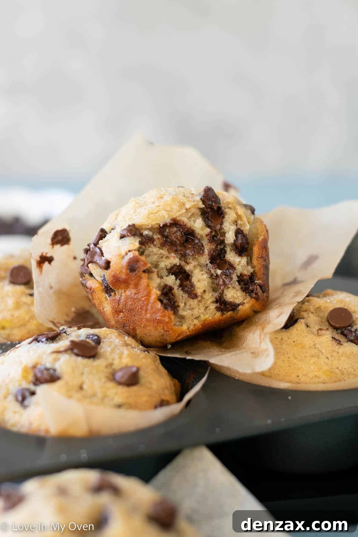 Overhead shot of two jumbo bakery style banana chocolate chip muffins, with one broken in half to reveal its fluffy texture.