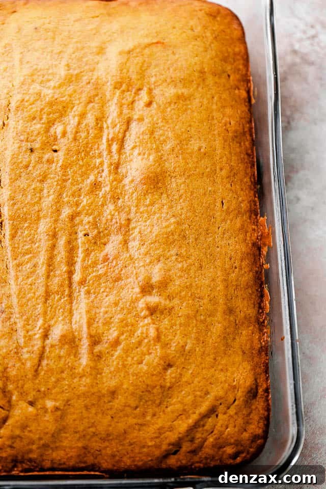 pumpkin cake in a baking dish
