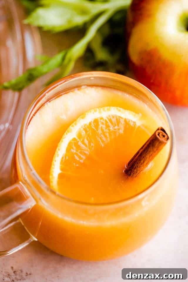 Side shot of two glass mugs filled with apple cider punch, garnished with cinnamon sticks, apple slices, and orange slices