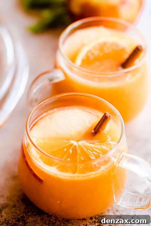 Side shot of two glass mugs filled with apple cider punch, garnished with cinnamon sticks