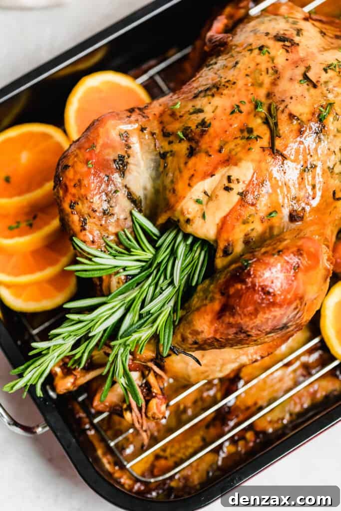 Roasted turkey stuffed with fresh rosemary.