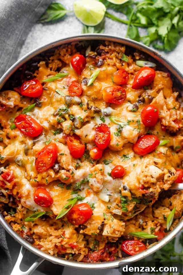 Overhead shot of chicken and rice burrito skillet topped with grape tomatoes and cilantro.