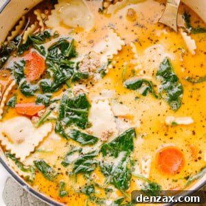 Overhead photo of ravioli soup in a pot.
