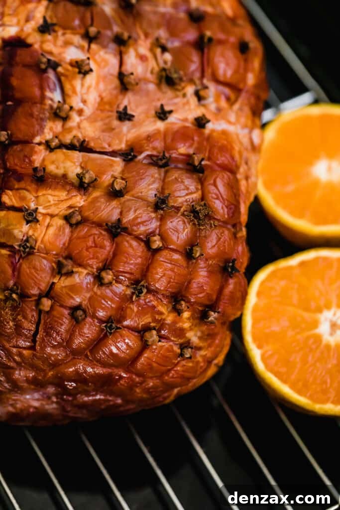 The Close-Up View of a Ham with Cloves Stuck Into It, ready for baking.