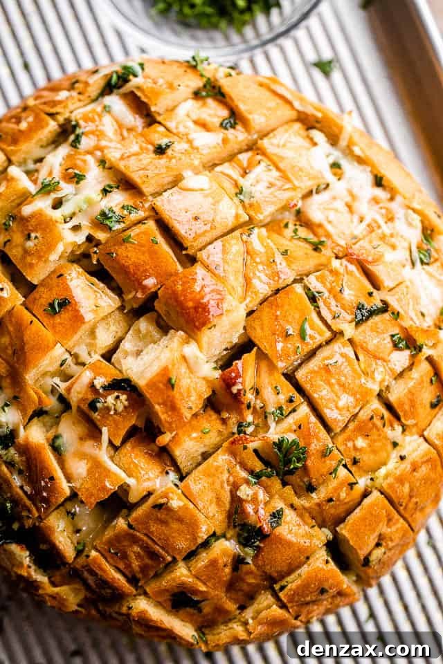 An overhead shot of a baked cheesy garlic pull-apart bread, golden brown with melted cheese visible in the cuts, ready for serving.
