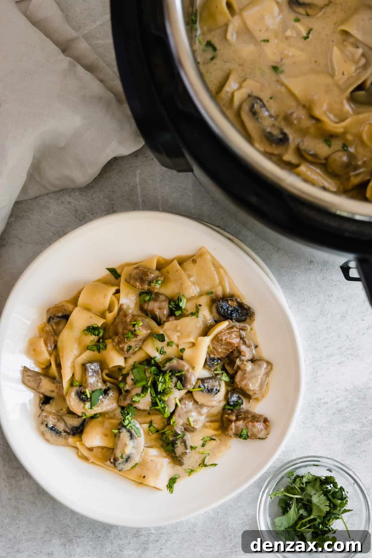 A Plate of Beef Stroganoff Beside a Pressure Cooker Filled with the Rest