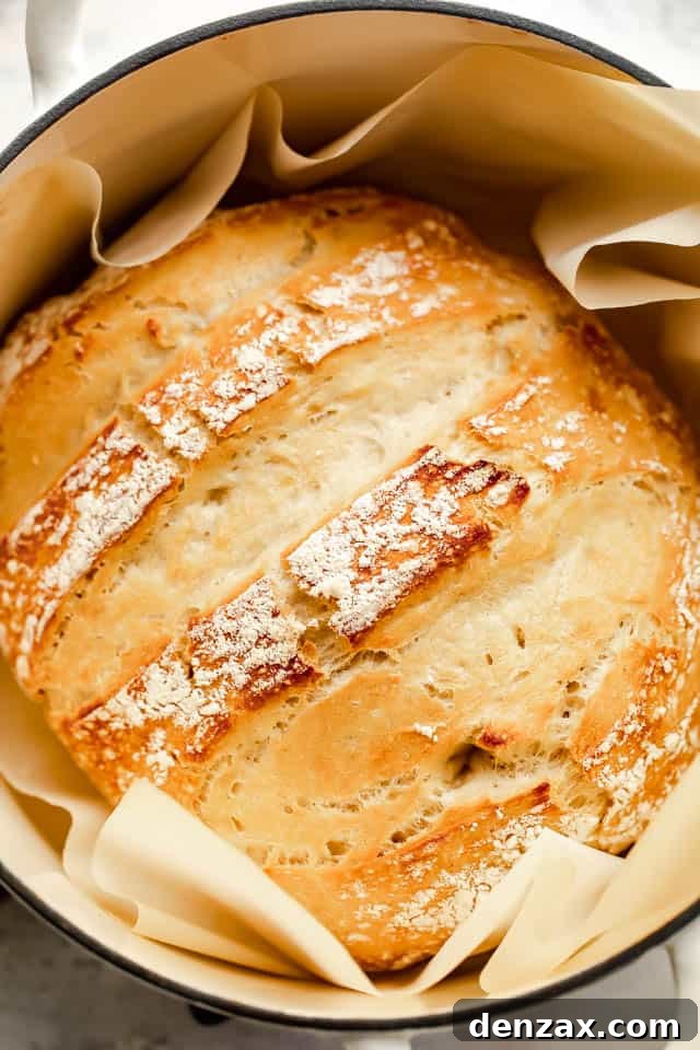 baked dutch oven bread