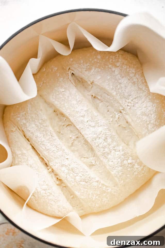 dough for bread in a dutch oven