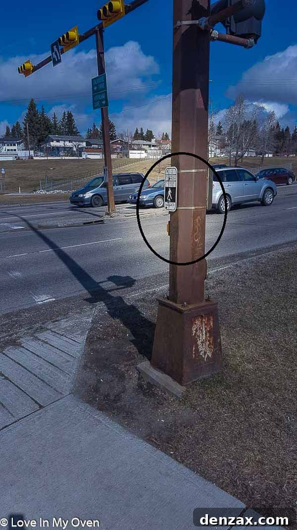 Pedestrian crossing button on the wrong side of the streetlight pole, illustrating an urban planning frustration