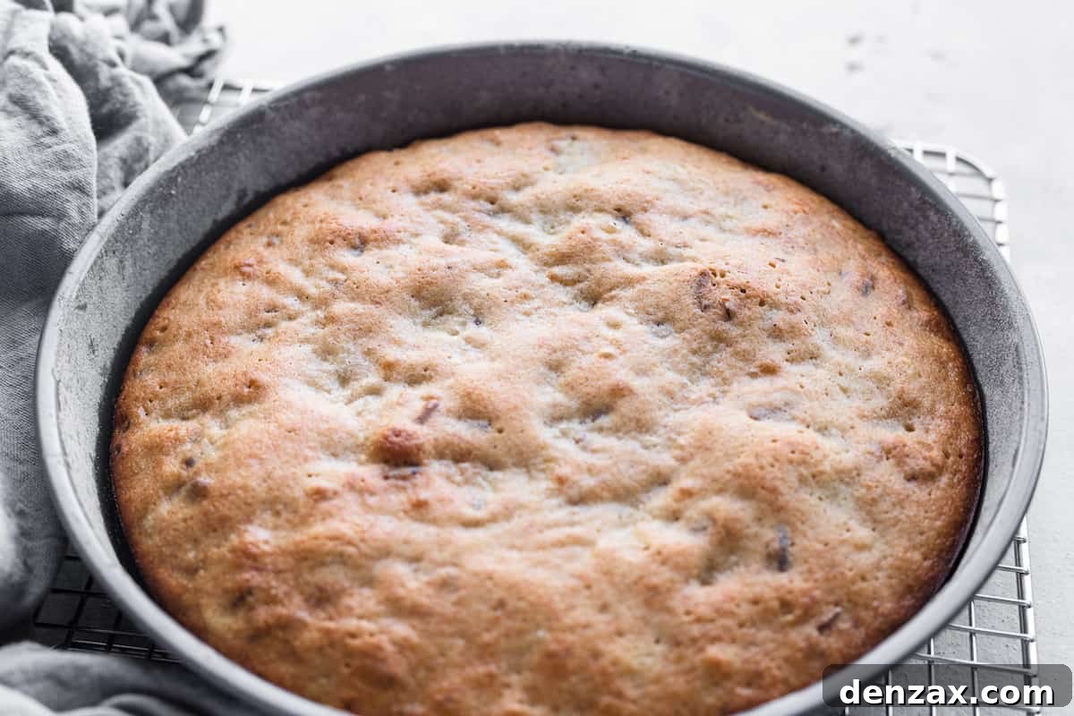 A Close-Up Shot of a Freshly Baked Cake Layer Over a Metal Cooling Rack