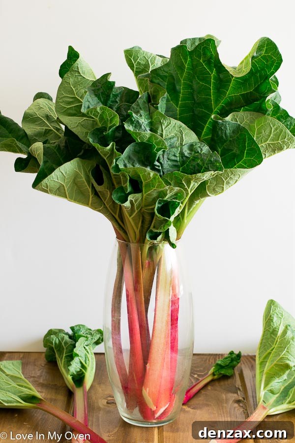 rhubarb
