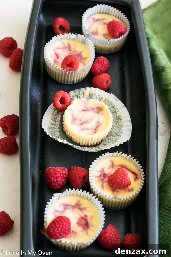 Delicious mini raspberry cheesecakes on a white serving plate, garnished with fresh raspberries