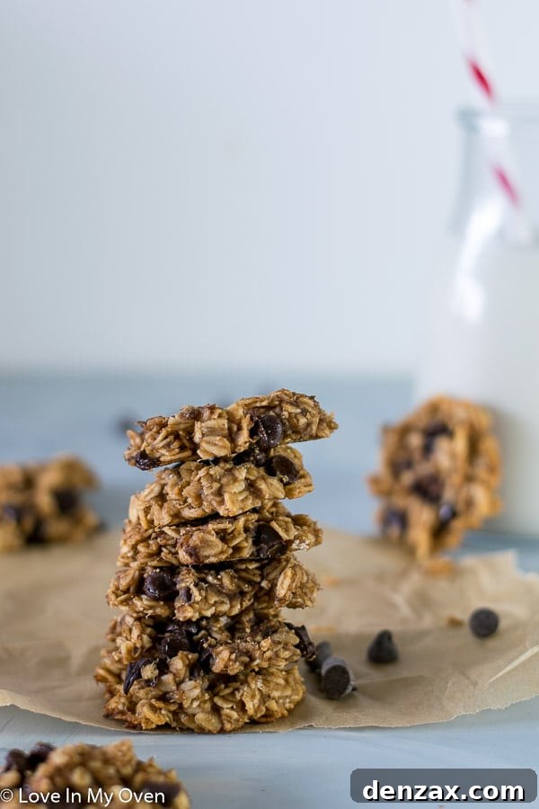 healthier oatmeal chocolate chip cookies