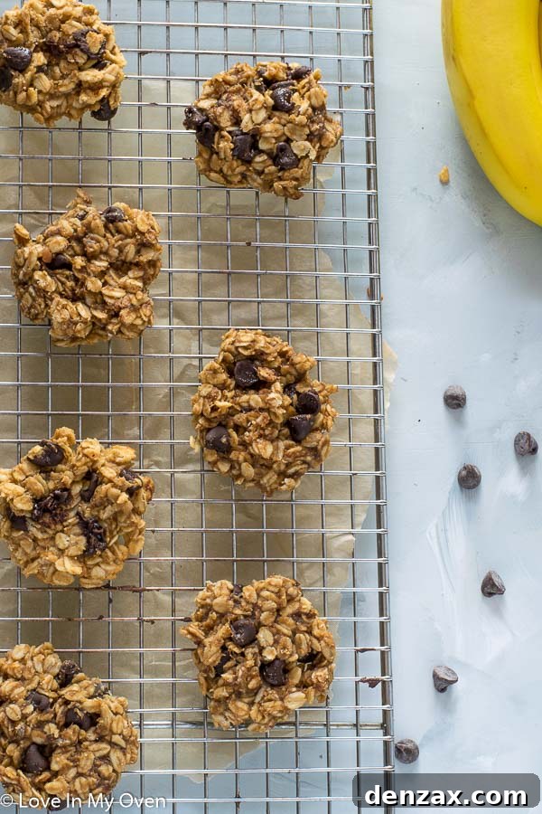 healthier oatmeal chocolate chip cookies