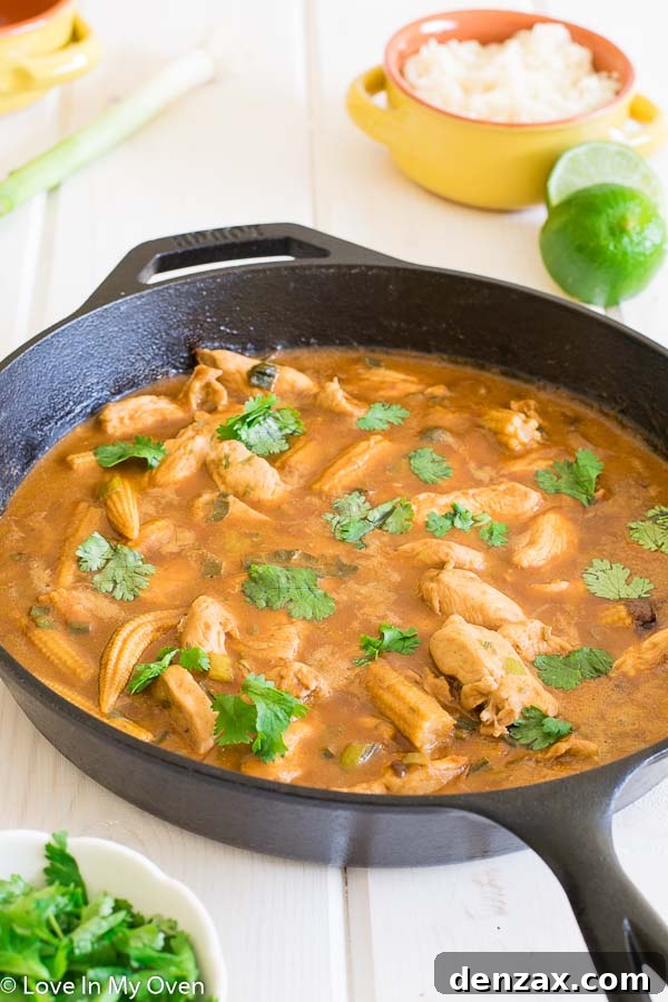 Thai Peanut Chicken Curry with rice