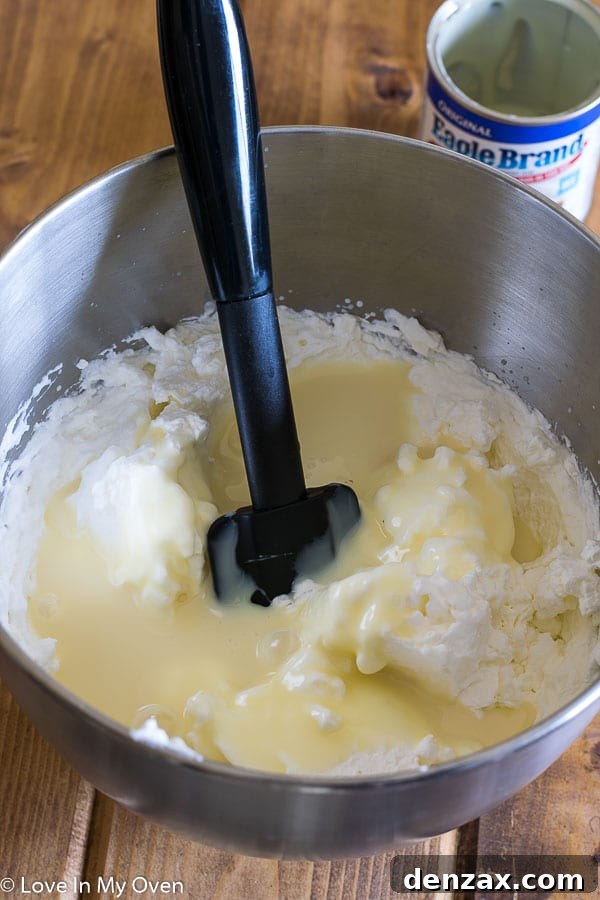 Mixing No-Churn Ice Cream Base