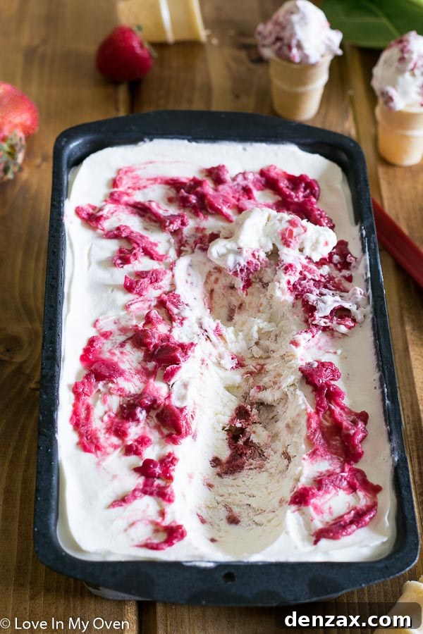 Close-up of Roasted Strawberry Rhubarb No Churn Ice Cream