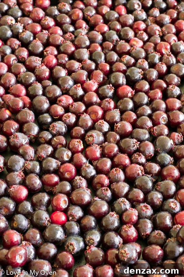 saskatoons