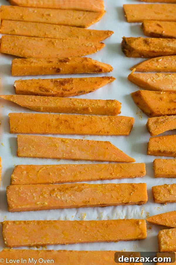 Sweet Potato Fries with Seasoning